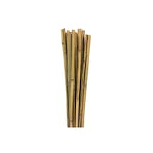 Bambu Bitki Destek Çubuğu 60 Cm 10 ADET