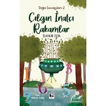 Çılgın İnatçı Rakamlar - Doğa Savaşçıları 2 - İlknur Işık - Çınaraltı Yayınları