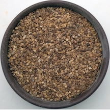 Hancıbey Çiğ Kabuklu Küncü 5 KG