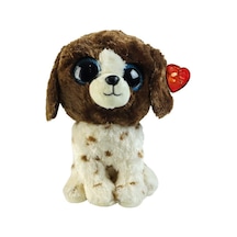 Dog Brown White Reg