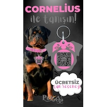 Petjoo 20.Cornelius Gri-Pembe Qr'lı Köpek Künyesi