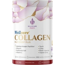 Orzax Collagen Multi Boost Plus Nar Aromalı 345 g Toz