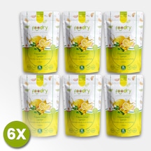 Freeze-dry Limon Freeze Dried Lemon Dondurularak Kurutulmuş Meyve Kurusu 17gx6 17 G