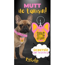 Petjoo 10.Mutt Sarı-Pembe Qr'lı Köpek Künyesi