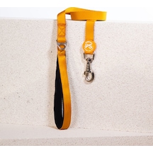 Pawstar L07 Gold Sevk Kayışı Altın