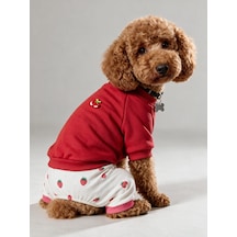 Tatlı Çilek Duo Çilekli Köpek Tulum & Sweat Kombini