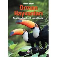 Orman Hayvanları - Glob-646099