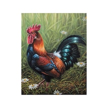 Erken Öten Horoz Çerçevesiz 70x90 Sayılarla Boyama Hobi Seti