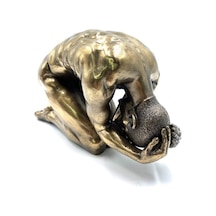 Wise Body Biblo (552956569)