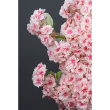 Pembe - Beyaz