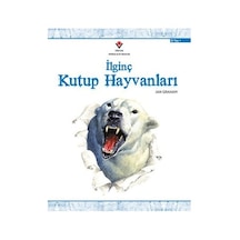 İlginç Kutup Hayvanları - Qhdh-814779