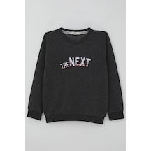 Breeze Erkek Çocuk Sweatshirt Yazı Nakış Baskılı 5-10 Yaş, Koyu Gri Melanj Koyu Gri Melanj