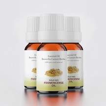 Proclis Sığla Günlük Uçucu Yağı 3 x 10 ML
