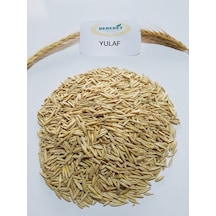 Yulaf Tohumu 1 KG