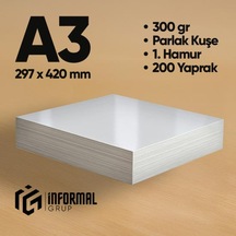 İnformal Fotokopi Kağıdı Premium Kalite A3 300 Gr Parlak Kuşe 200