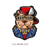 Motorsiklet Otomobil Sticker 2 Adet 053