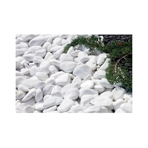 Beyaz Dolomit 20 Kg 6-10 Cm Taş Bahçe Süs Taşı Dekoratif Taş Dere Taşı Loche Diğer