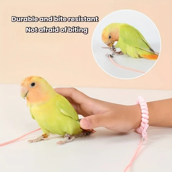 Elmpaly 78,74 İnç 3 Parça Mavi Papağan Tasma Seti - Esnek Lastik Kayış, Hafif Kuş Uçuş Göğüs Askısı