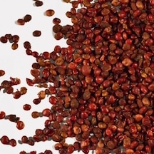Botanik Sağlık Tane Sumak 100 G