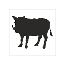 Domuz Folyo Sticker 70cm Uzunluk Siyah