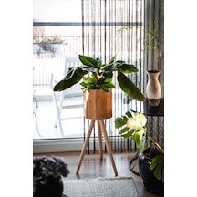 Naturel Bambu