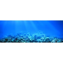 Kanki Pet Akvaryum Arka Fon Yapıştırma 185x65 Cm Kp1856522
