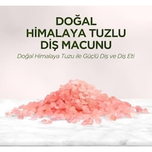 Doğal Himalaya Tuzlu Diş Macunu, 90ml