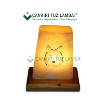 Çankırı Tuz Lamba'dan Kurt Baskılı Tuz Lambası