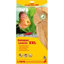 Sera Catappa Yaprağı Xxl 32 Cm 10'lu Paket