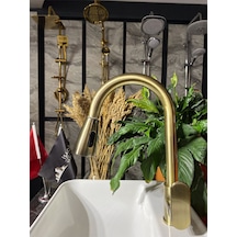 İsaoğlu Yapı Antik Gold Vogue Design Spiralli Mutfak Bataryası Evye Bataryası Gold