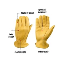 Campout Dana  Derisi Eldiven