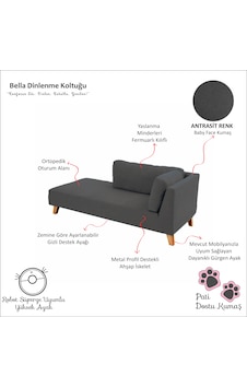 Bella Rahat Dinlenme Koltuğu Josefin Koltuk Psikolog Koltuğu Kitap Okuma Koltuğu Puf Koltuk Kanepe Sağ Antrasit Bella Rahat Dinlenme Koltuğu Josefin Koltuk Psikolog Koltuğu Kitap Okuma Koltuğu Puf Koltuk Kanepe Sağ Antrasit