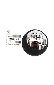 Vites Topuzu Peugeot 2403.v1 Diğer