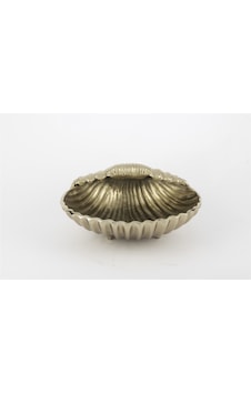 Mikasa Moor Antik Gold Deniz Kabuğu 24x10 Cm Altın Mikasa Moor Antik Gold Deniz Kabuğu 24x10 Cm Altın