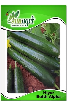Beith Alpha Salatalık Tohumu 5 GR Beith Alpha Salatalık Tohumu 5 GR