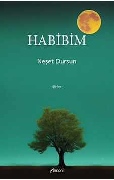 Habibim / Neşet Dursun Habibim / Neşet Dursun
