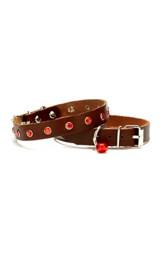 Taşlı Kedi Ve Yru Köpek Tasması 1,2x26 Cm Rengi Large Taşlı Kedi Ve Yru Köpek Tasması 1,2x26 Cm Rengi Large