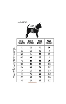 Adonis Yağmurluk, Küçük Irk Köpekler İçin, İçi Polar, Sarı Renk Açık Gri Adonis Yağmurluk, Küçük Irk Köpekler İçin, İçi Polar, Sarı Renk Açık Gri