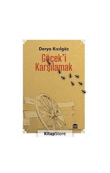 Göçek'i Karşılamak - Derya Kızılgöz - Rönesans Yayınları