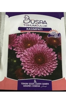 Çiçek Tohumu Kasımpatı