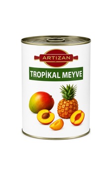 Artızan Tropikal Meyveli Dolgu 2,7 Kg