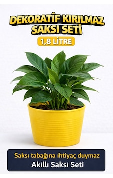 2 Li Saksı Seti 15 Pot Üretim Saksısı + 1,8 Litre Sarı Dekoratif Kırılmaz Saksı Tabaksız Uyumlu 2 Li Saksı Seti 15 Pot Üretim Saksısı + 1,8 Litre Sarı Dekoratif Kırılmaz Saksı Tabaksız Uyumlu