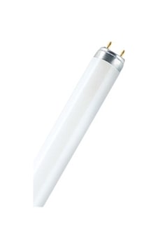 Şavk Amp Flore T8 G13 Sinek 10 W/BL 34 CM Şavk Amp Flore T8 G13 Sinek 10 W/BL 34 CM