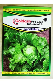 Goldgen Pro Seed Iceberg Marul Tohumu Goldgen Pro Seed Iceberg Marul Tohumu