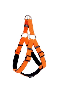 Actirex Neon Yumuşak Doku Ayarlanır Köpek Göğüs Tasması Orange Xs Actirex Neon Yumuşak Doku Ayarlanır Köpek Göğüs Tasması Orange Xs