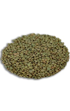 Yeşil Mercimek Köy Mercimeği 1 KG Yeşil Mercimek Köy Mercimeği 1 KG