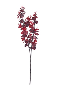 Pasabahce Mürdüm Leaves 40 Cm - 1 Adet Mor Pasabahce Mürdüm Leaves 40 Cm - 1 Adet Mor