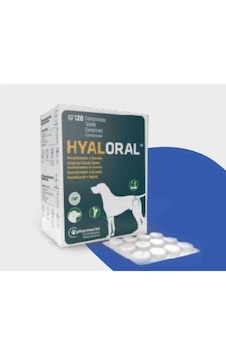 Pharmadiet Hyaloral Tablet Köpek Ve Kedi Eklemm Destekleyici 120 Adet Pharmadiet Hyaloral Tablet Köpek Ve Kedi Eklemm Destekleyici 120 Adet