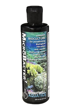 Brightwell Microbacter7 -Kültürü 250 ML Brightwell Microbacter7 -Kültürü 250 ML