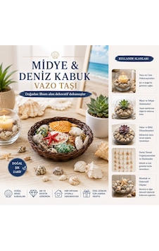 Yuvarlak Ahşap Sepet Renkli Mix Midye - Deniz Kabuk Vazo Taşı 50001 1 Yuvarlak Ahşap Sepet Renkli Mix Midye - Deniz Kabuk Vazo Taşı 50001 1